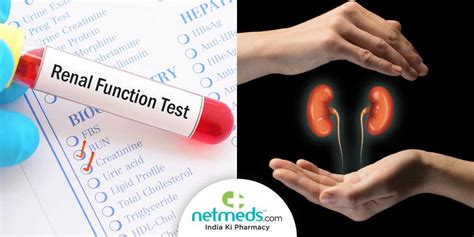 kidney function blood test bottle|how to test for kidney disease.